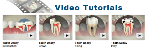 Mississauga Dentist - Dental Office - Dental Video Tutorials