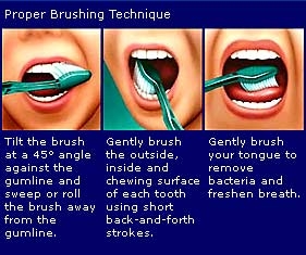 Toothbrushes - Dr. Jauhal Articles